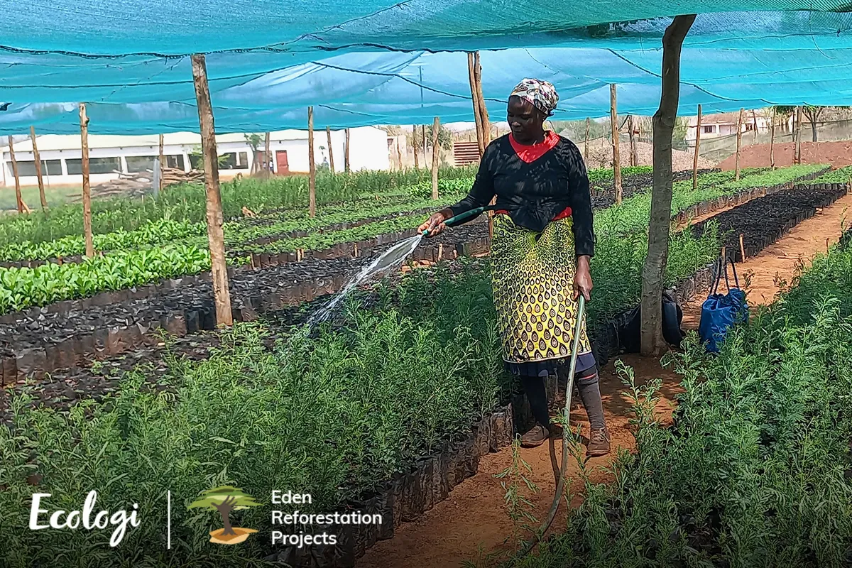 A woman is watering plants in a garden.